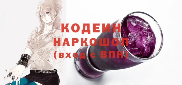 твердый Новодвинск