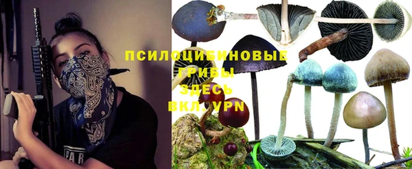 твердый Новодвинск