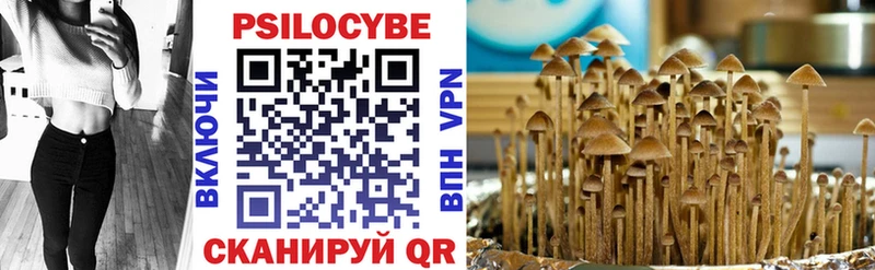 купить наркотик  OMG как войти  Псилоцибиновые грибы Psilocybine cubensis  Сорочинск 